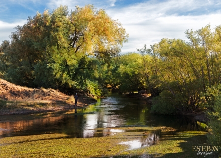 El pescador en su paisaje